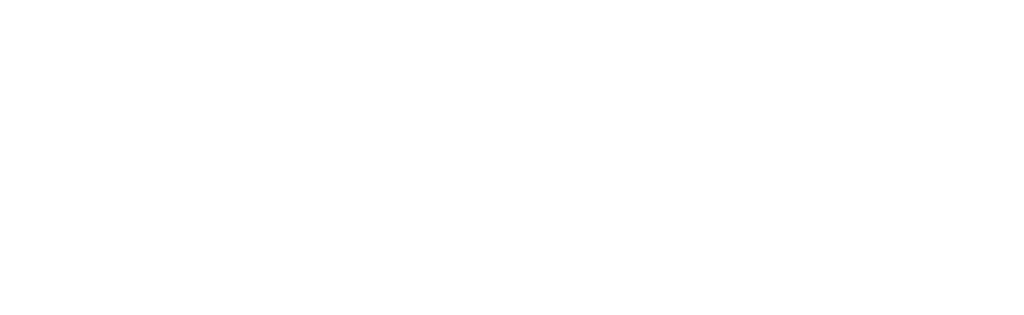 Investors In People Logo Trans